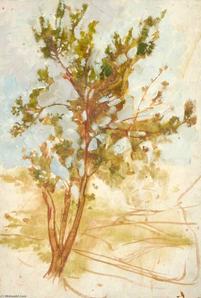 A Tree — Бенджамин Хотон