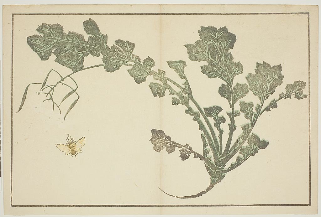Fly And Herb — Кацусика Хокусай