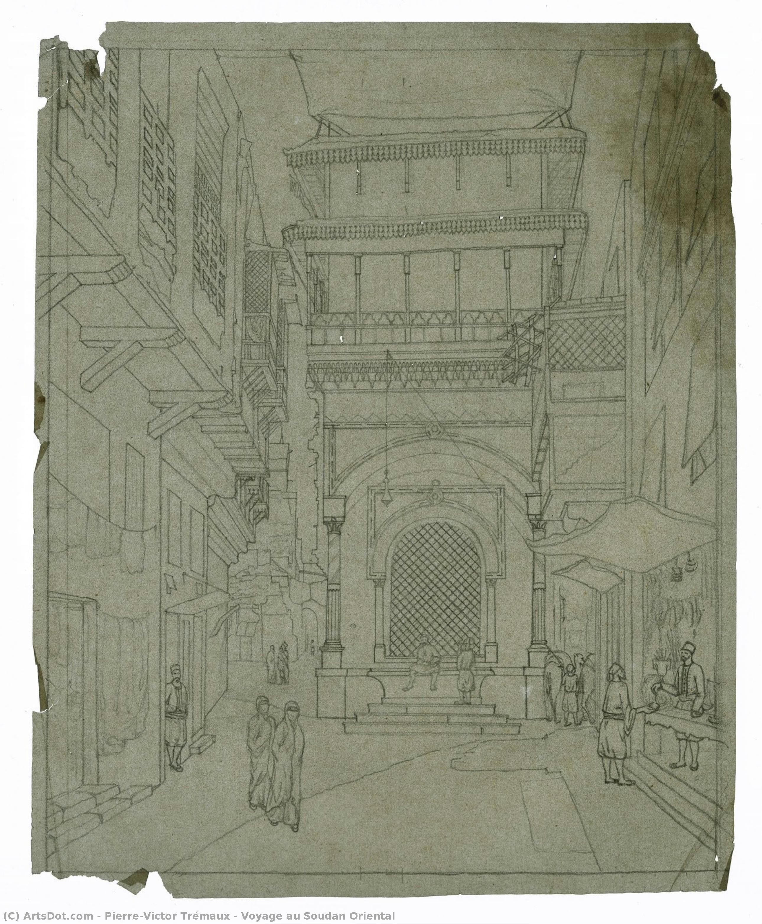 Voyage Au Soudan Oriental — Pierre-victor Trémaux