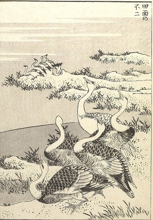 Fuji Sobre El Rostro De Un Paddy — Katsushika Hokusai