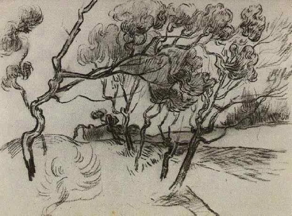 Pine Trees Along A Road To A House — Vincent Willem Van Gogh
