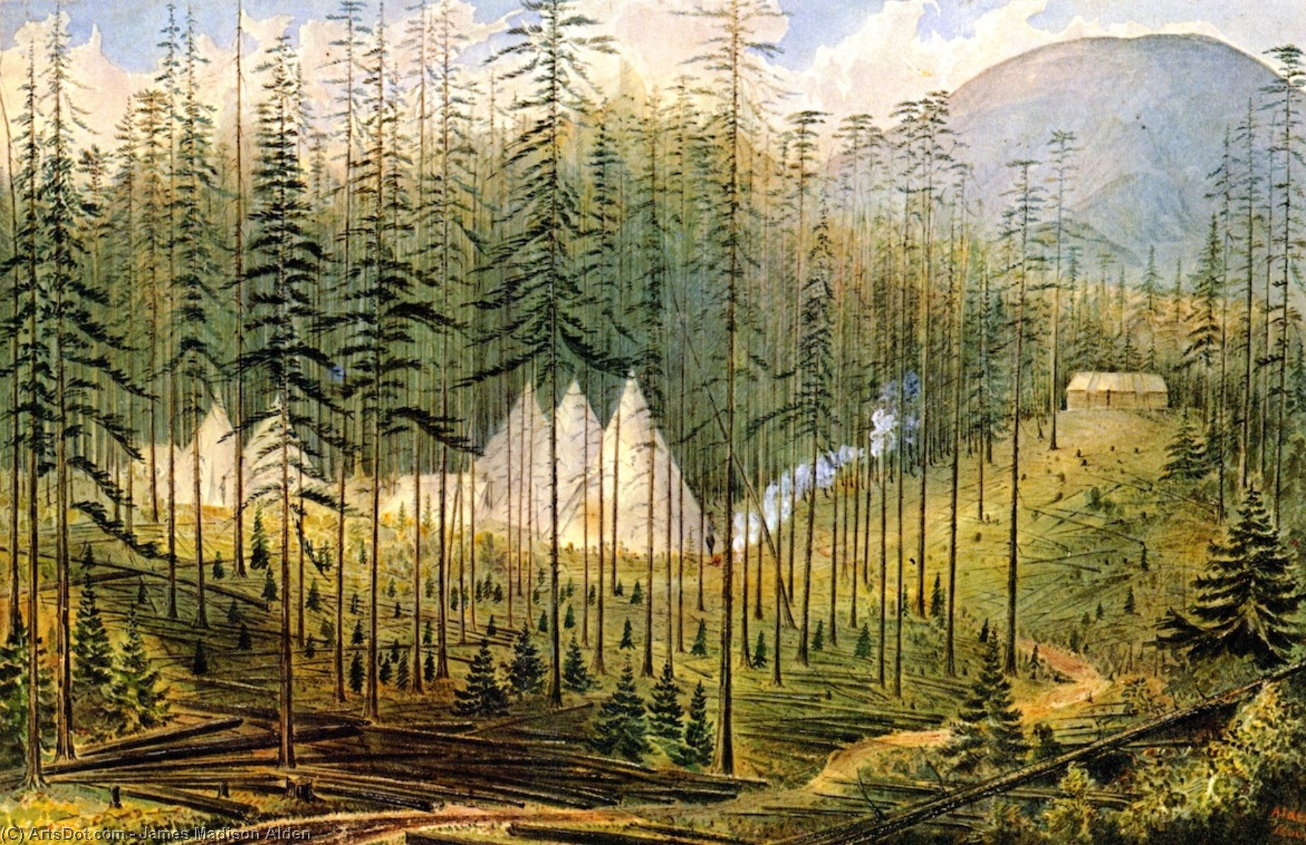 Camp Mooyie, 49th Parallel — James Madison Alden