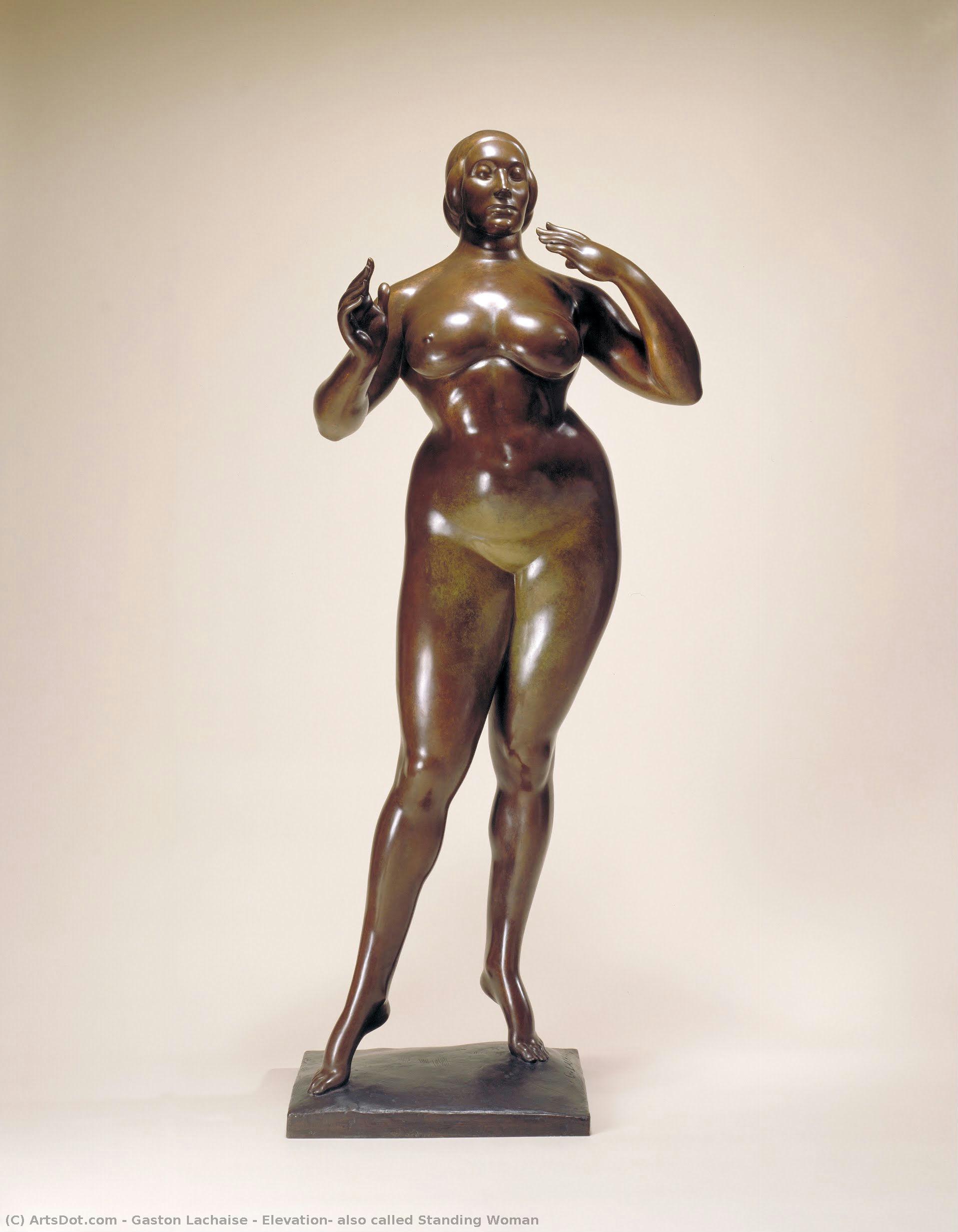 Elevation, Also Called Standing Woman — Gaston Lachaise