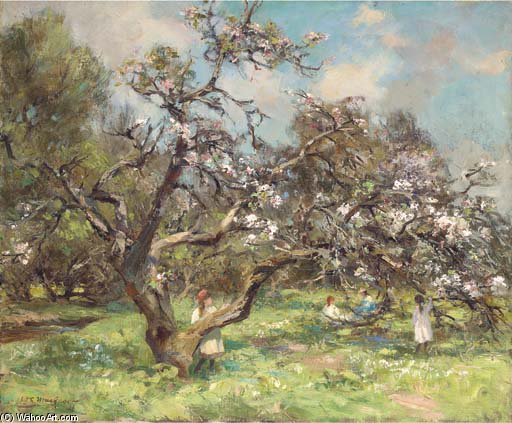 Cherry Blossom — William Stewart Macgeorge