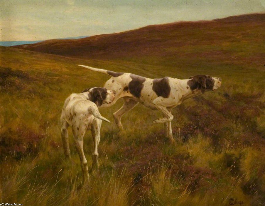 Pointers In A Landscape — Thomas Blinks