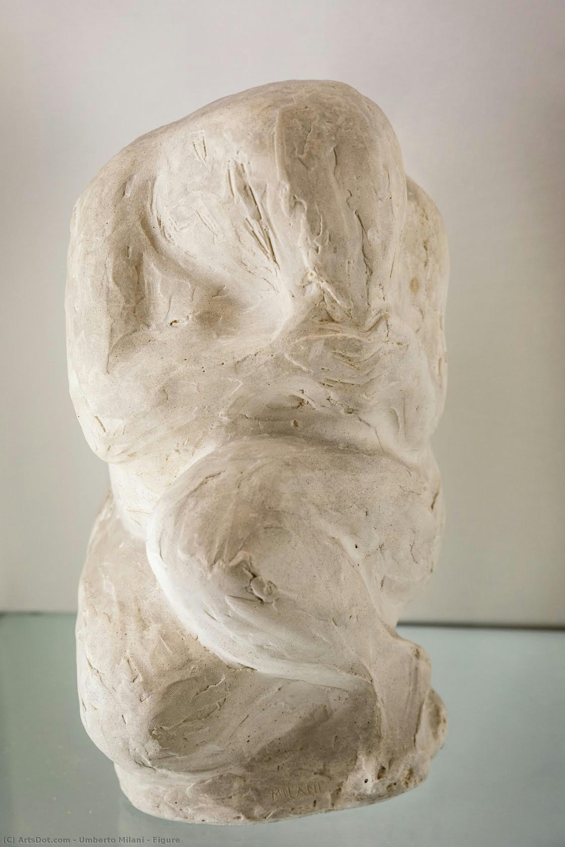 Figure — Umberto Milani