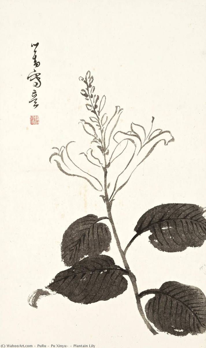 Plantain Lily — Пу Жюньюй