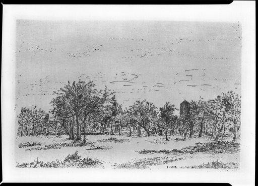 The Orchard — Энсор