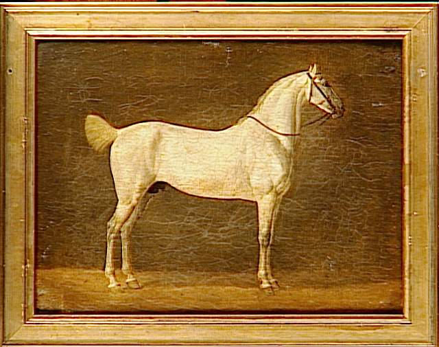 Cheval De Napoléon Ier Le Distingué — Martinet Pierre