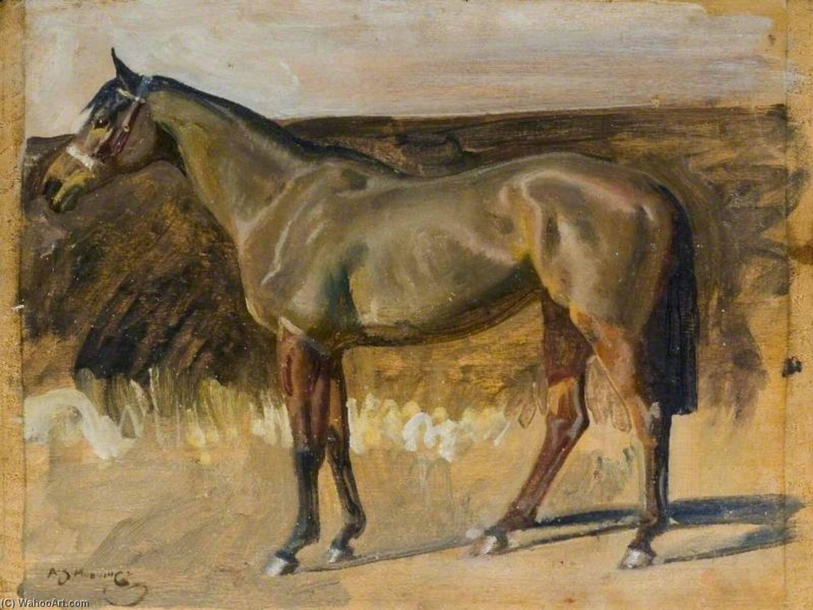 Study Of A Hunter Mare (recto) — アルフレッド・ミュニングス