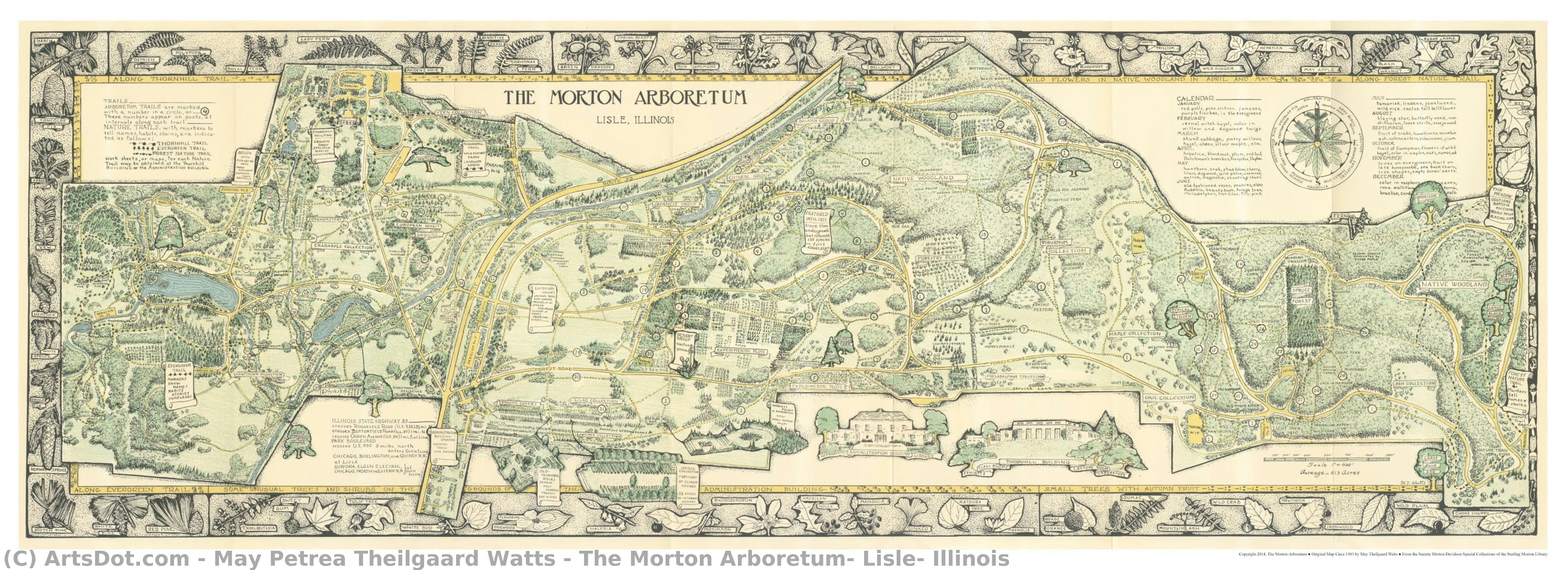 The Morton Arboretum, Lisle, Illinois — May Petrea Theilgaard Watts