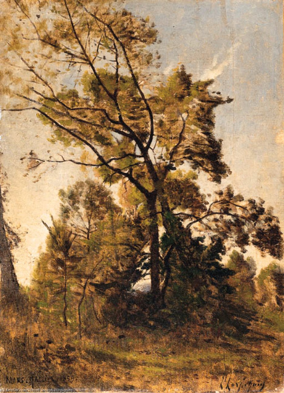 Landscape With Cluster Of Trees — Henri-joseph Harpignies