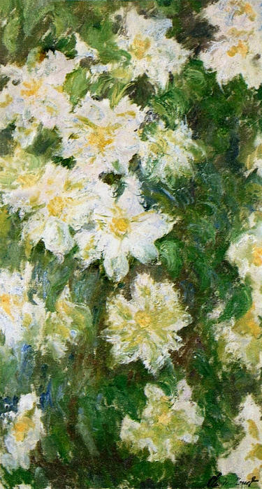 Violetas Blancas — Claude Monet