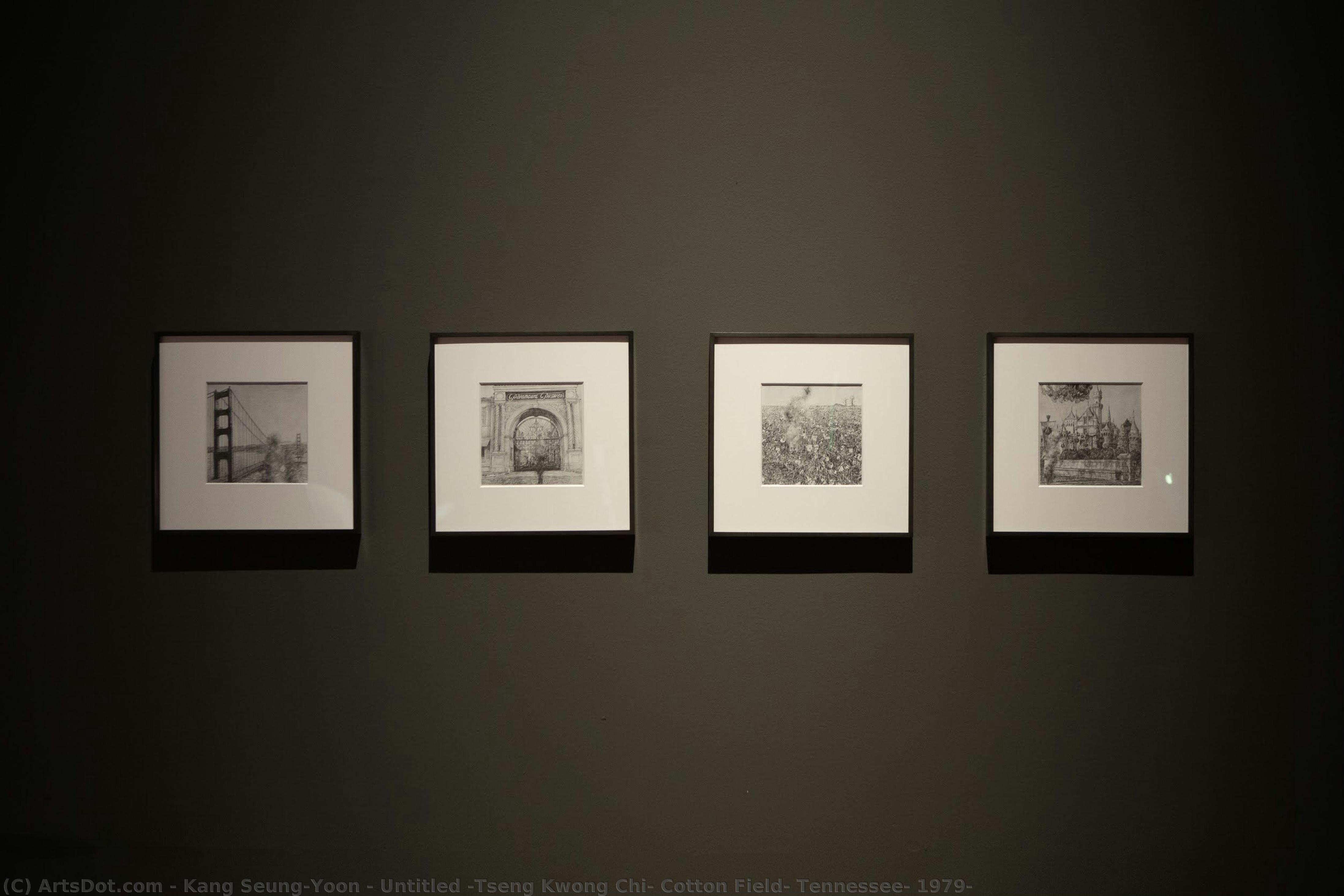Untitled (tseng Kwong Chi, Cotton Field, Tennessee, 1979) — Kang Seung-yoon