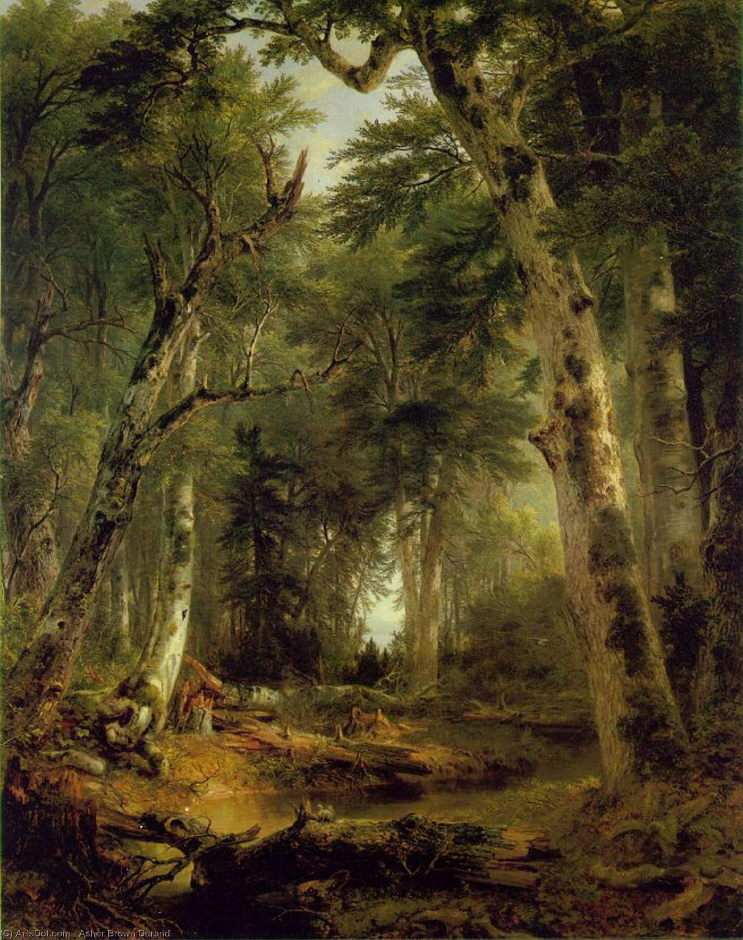 In The Woods — Asher Brown Durand