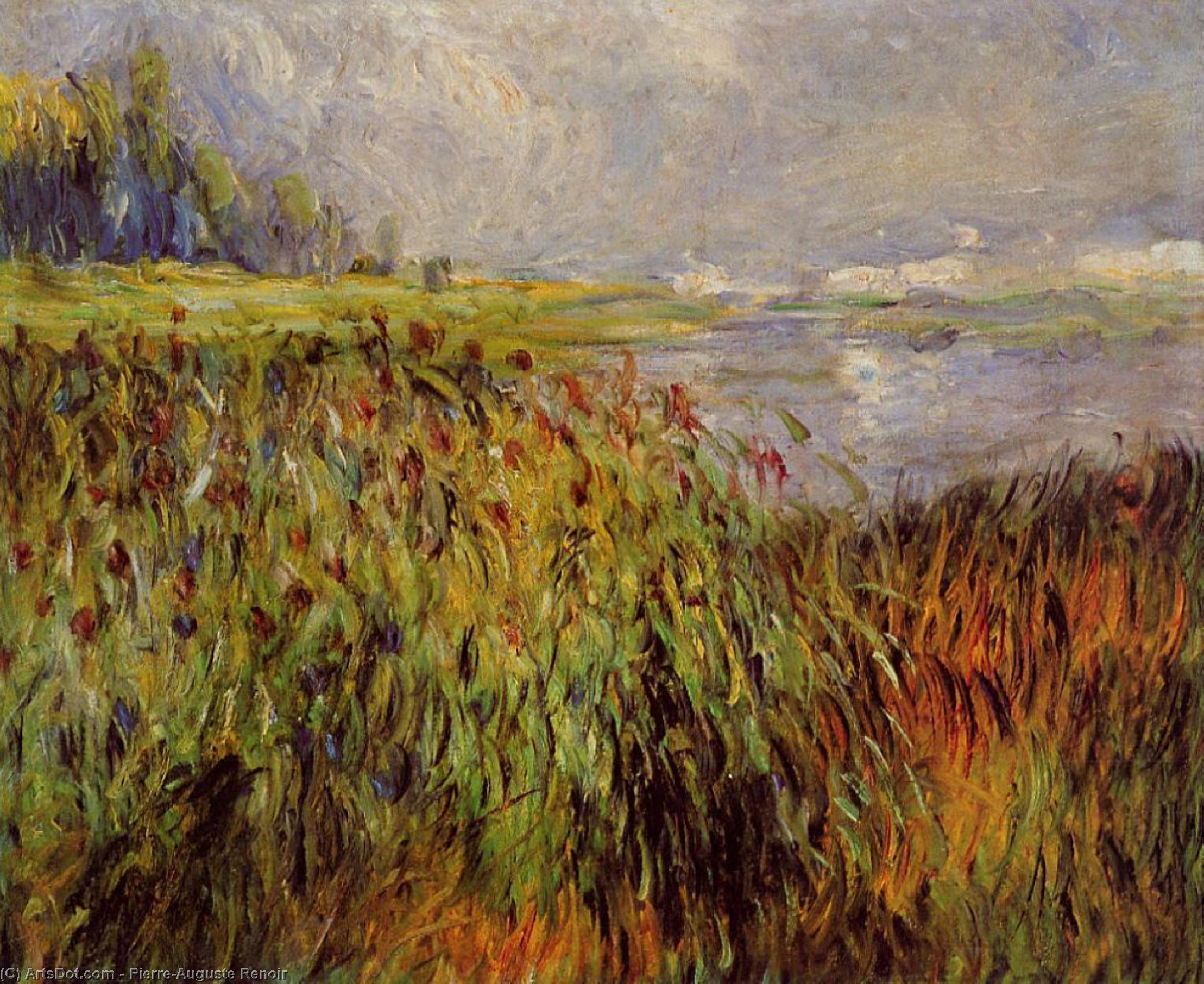 Bulrushes On The Banks Of The Seine — Pierre-auguste Renoir