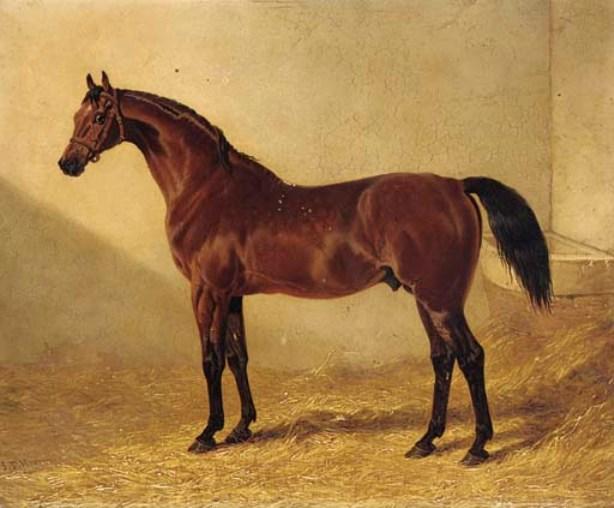 Glaucus, A Bay Racehorse In A Stable — John Frederick Herring Senior