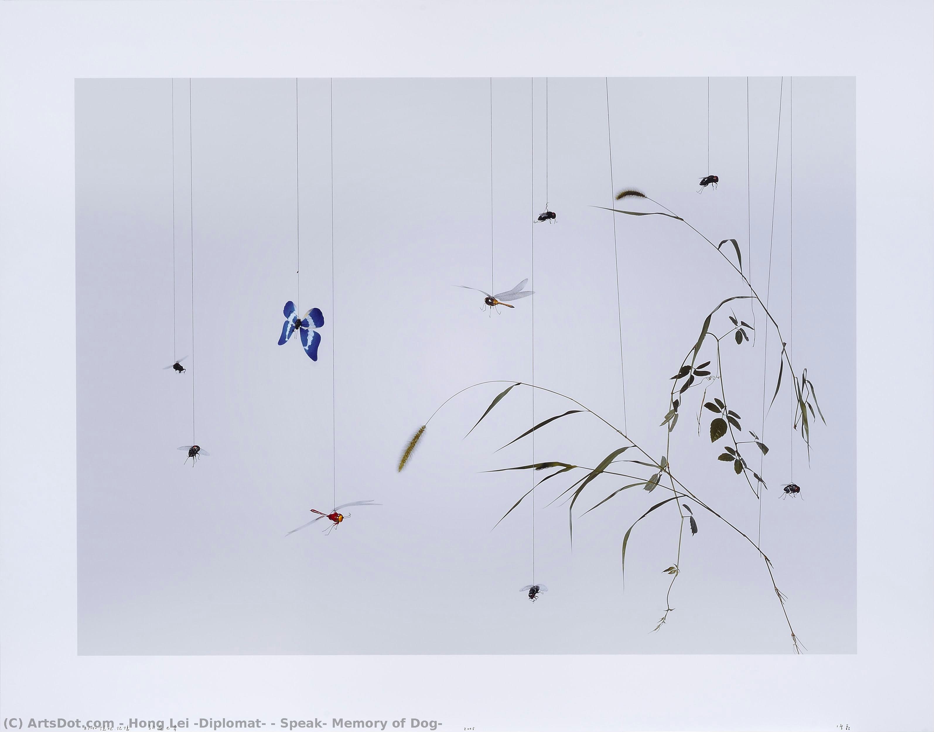 Speak, Memory Of Dog — Hong Lei (diplomat)