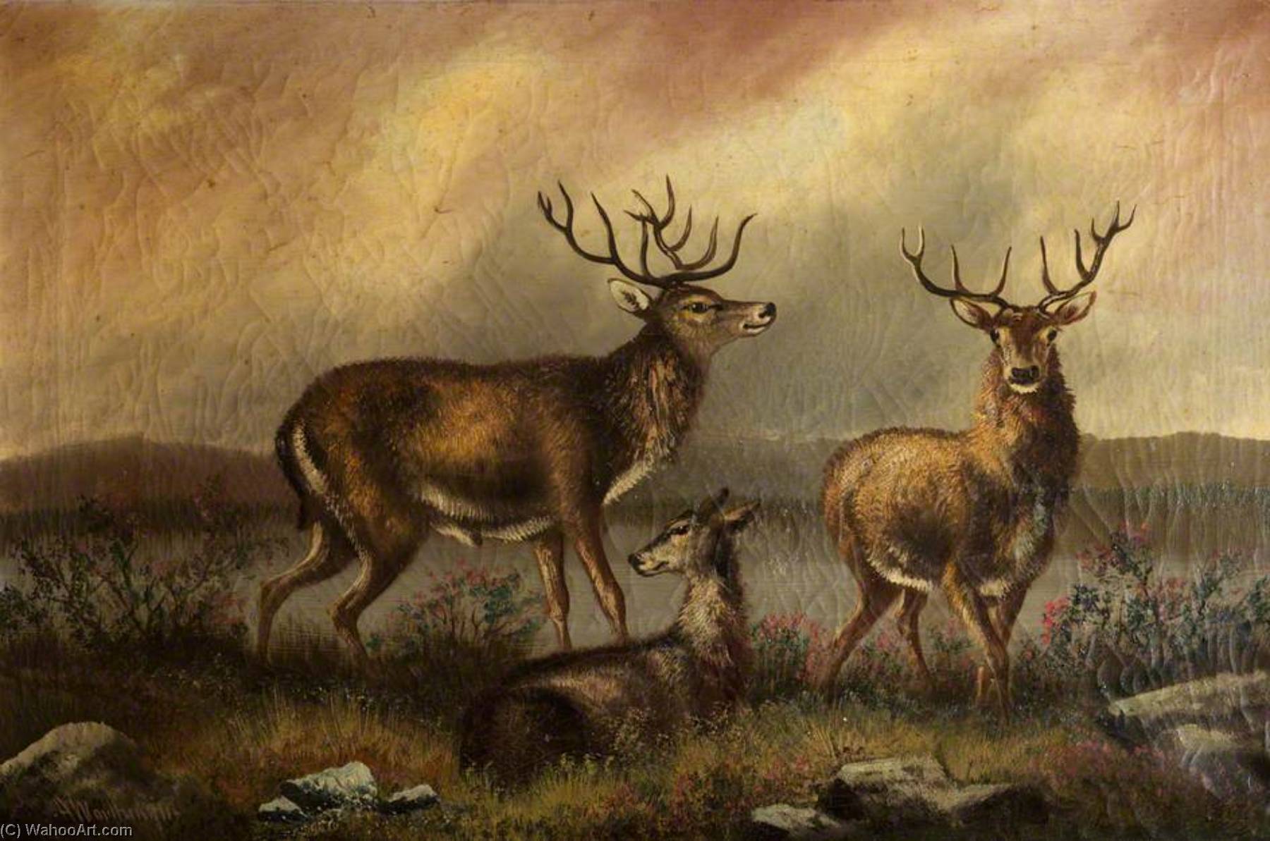 Two Stags — Альфред Уортингтон