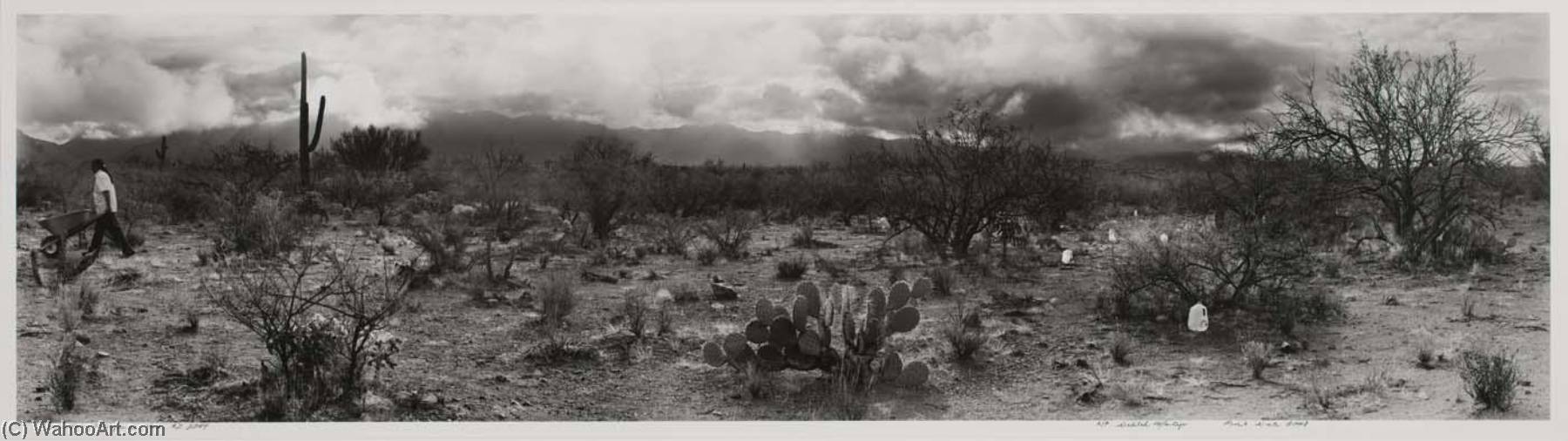 Desire Lines, Baboquivari Peak, Az — Delilah Montoya