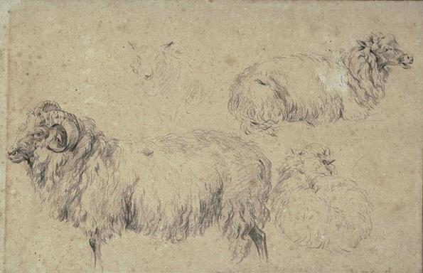 Studies Of Rams, Goats And Sheep — Nicolaes Pietersz Berchem