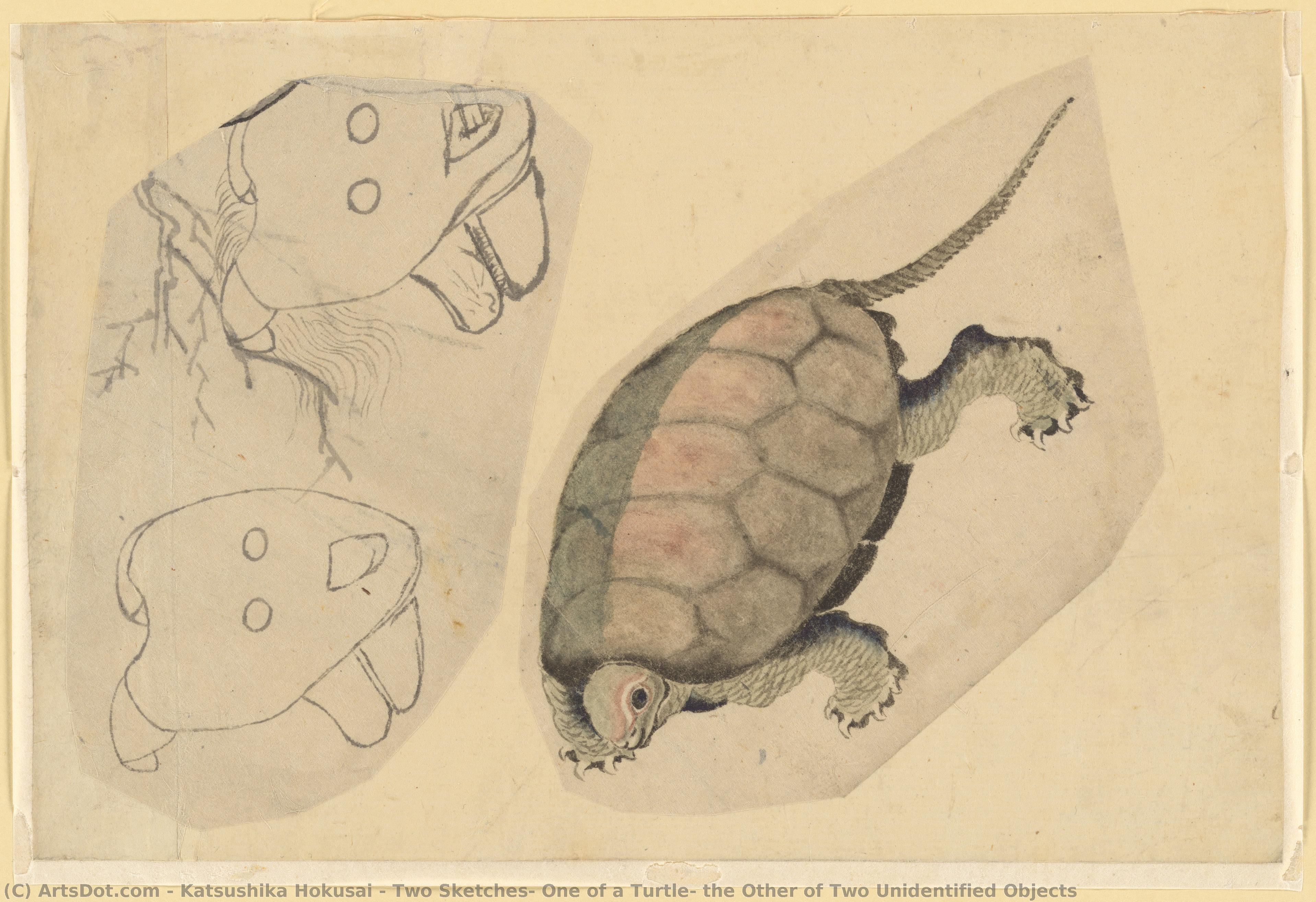 Two Sketches: One Of A Turtle, The Other Of Two Unidentified Objects — Katsushika Hokusai