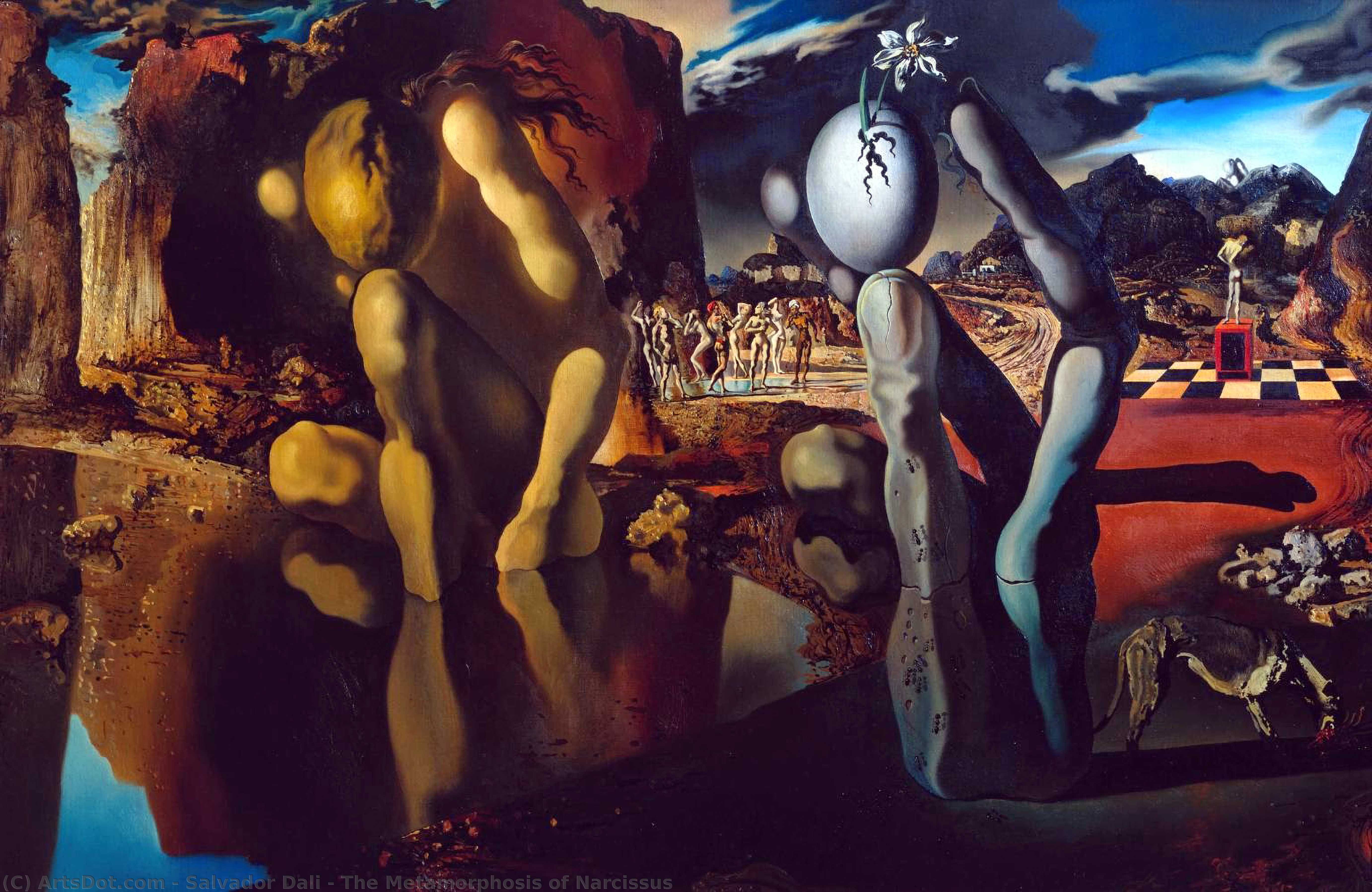 Die Metamorphose Des Narkissos — Salvador Dalí
