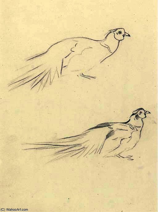 Four Cock Pheasants, A Sketch; And Two Cock Pheasants, A Sketch — Archibald Thorburn