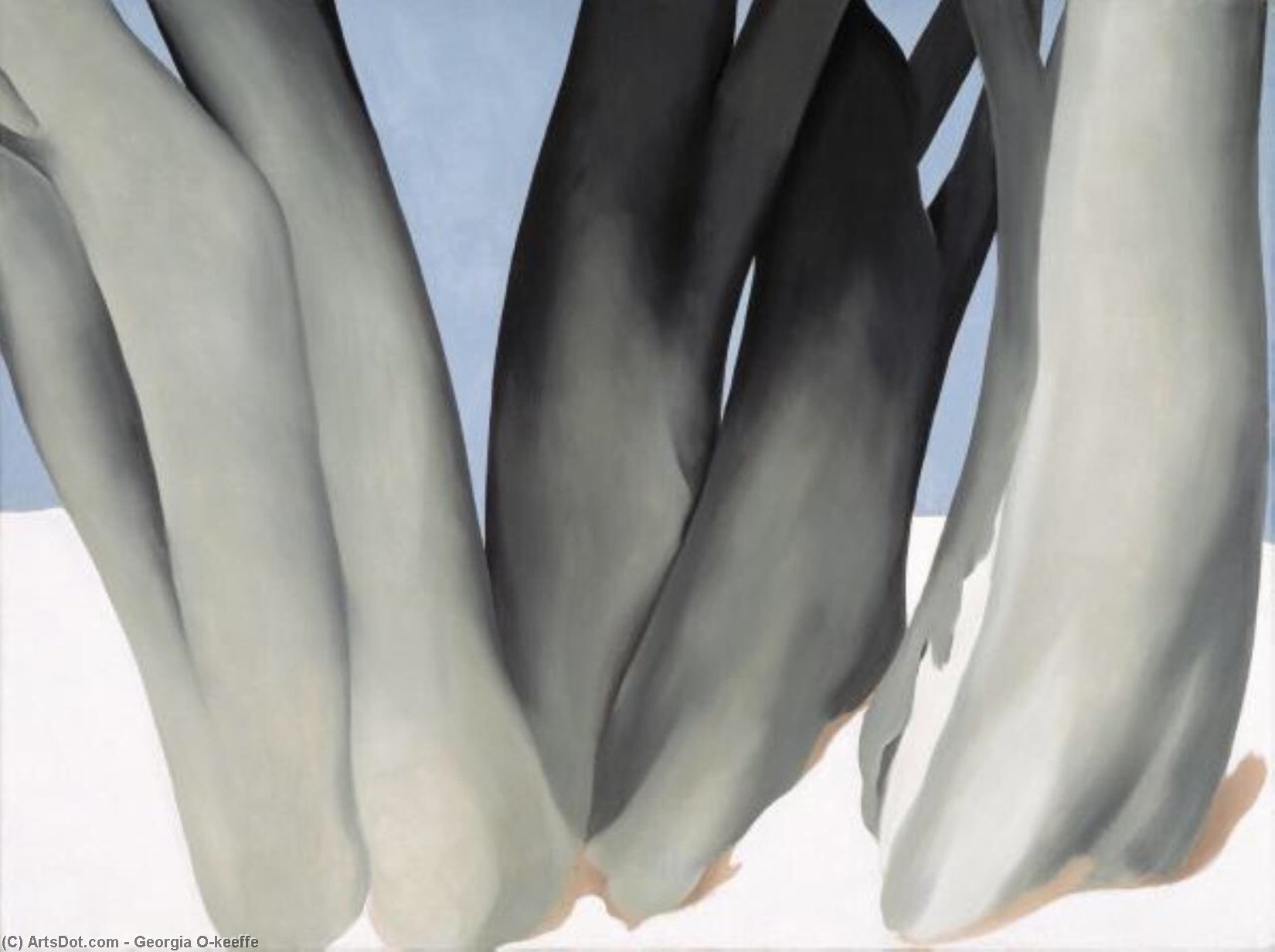 Bare Tree Trunks With Snow — Georgia O'keeffe