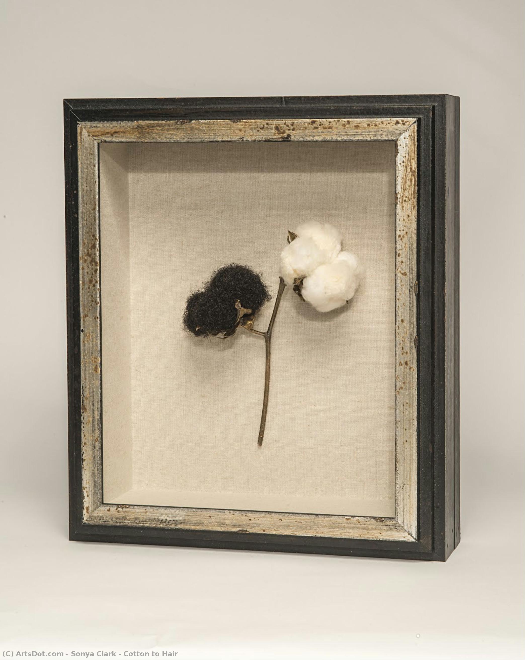 Cotton To Hair — Sonya Clark