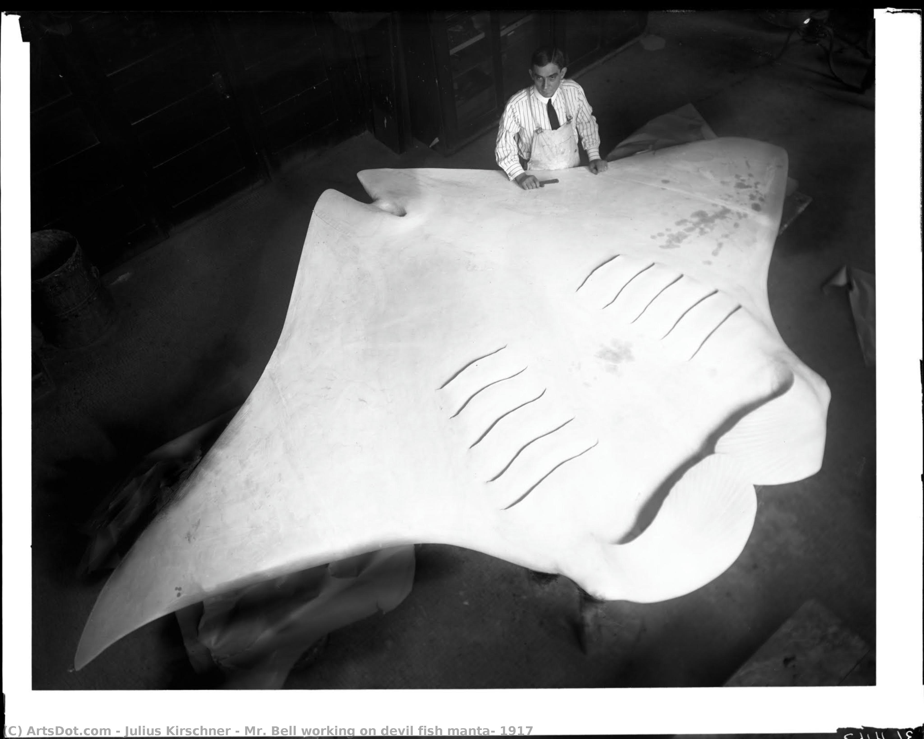 Mr. Bell Working On Devil Fish Manta, 1917 — Julius Kirschner