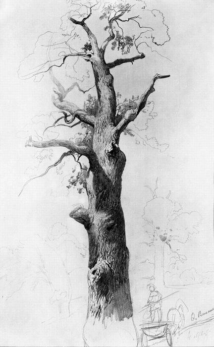 The Trunk Of An Old Oak — Fyodor Alexandrovich Vasilyev
