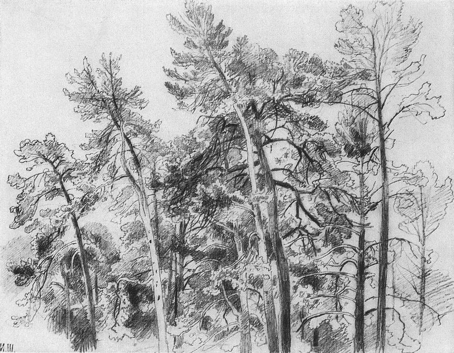 The Tops Of The Pines — Ivan Ivanovich Shishkin
