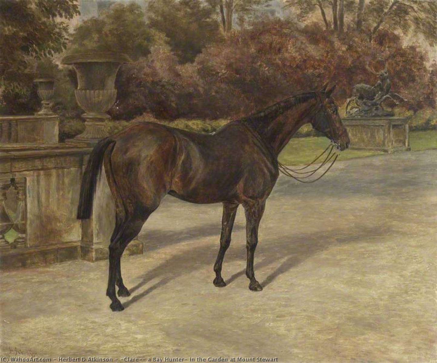'clare', A Bay Hunter, In The Garden At Mount Stewart — Herbert D Atkinson