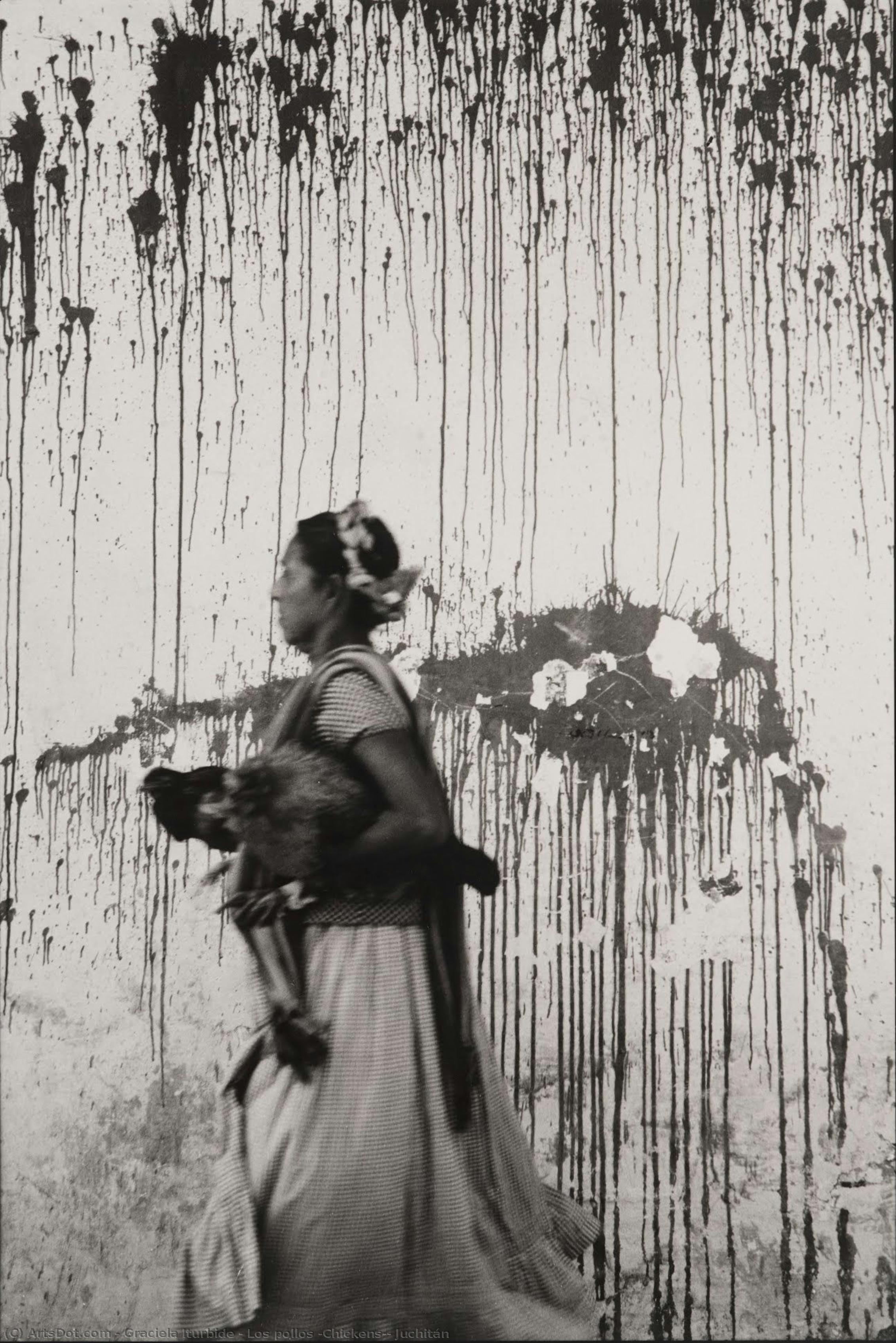 Los Pollos (chickens) — Graciela Iturbide