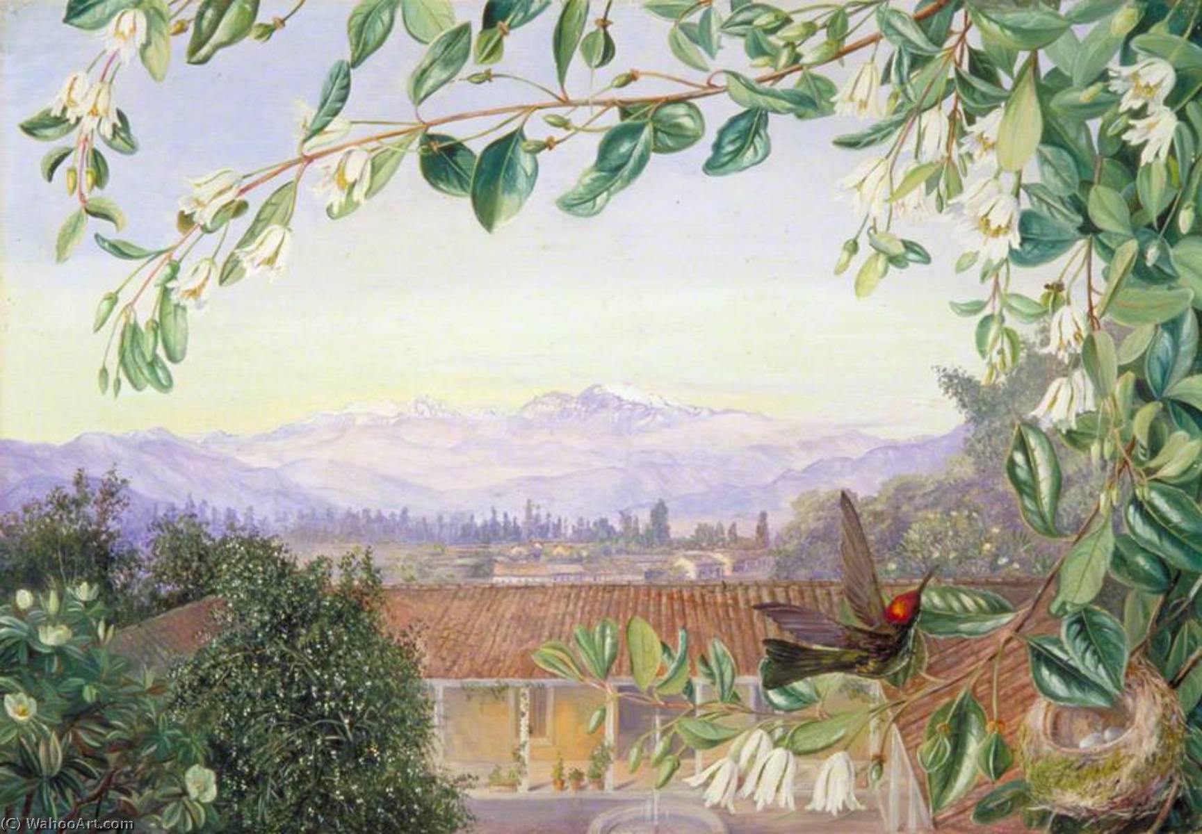 The Permanent Snows From Santiago Patagua In Front With Humming Bird And Nest — Marianne North