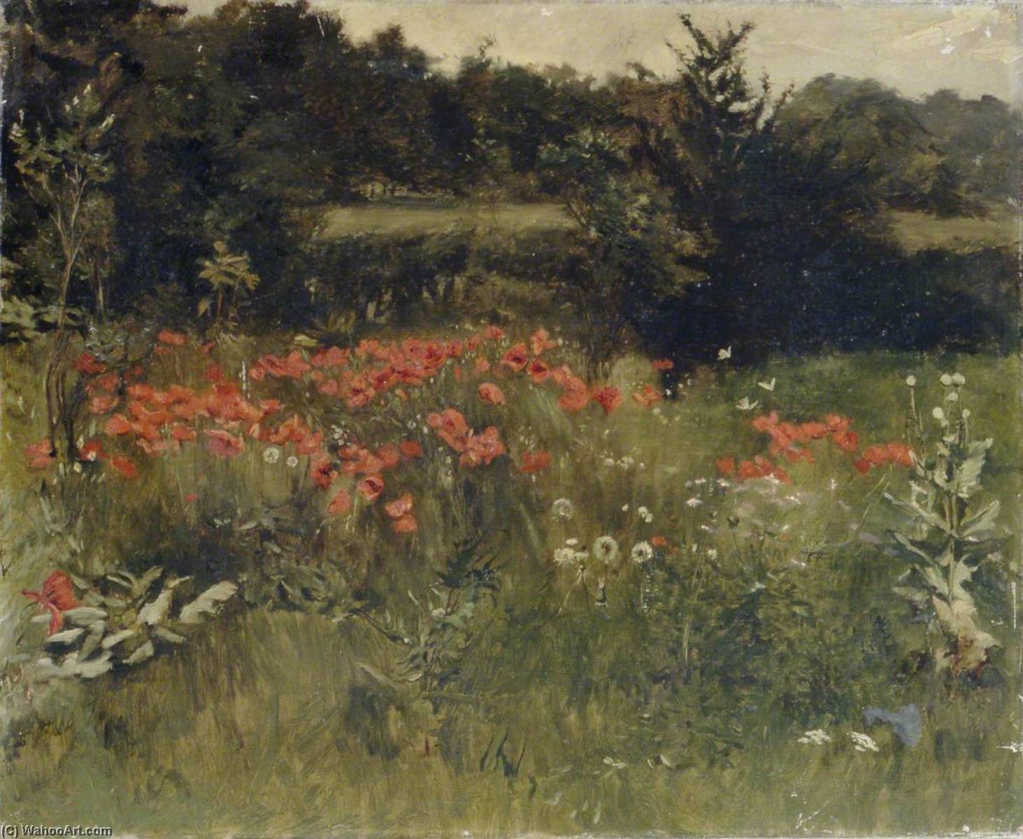 Poppies — Sarah Paxton Ball Dodson