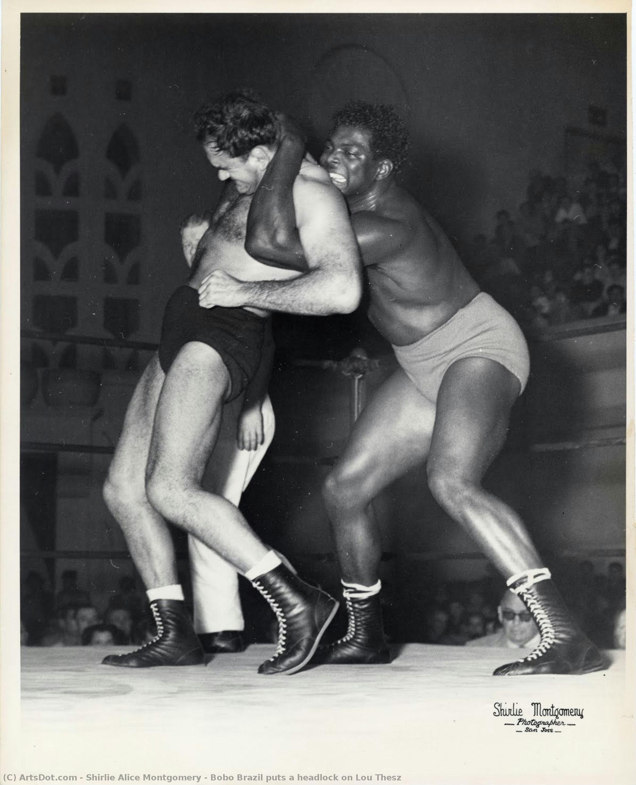 Bobo Brazil Puts A Headlock On Lou Thesz — Shirlie Alice Montgomery