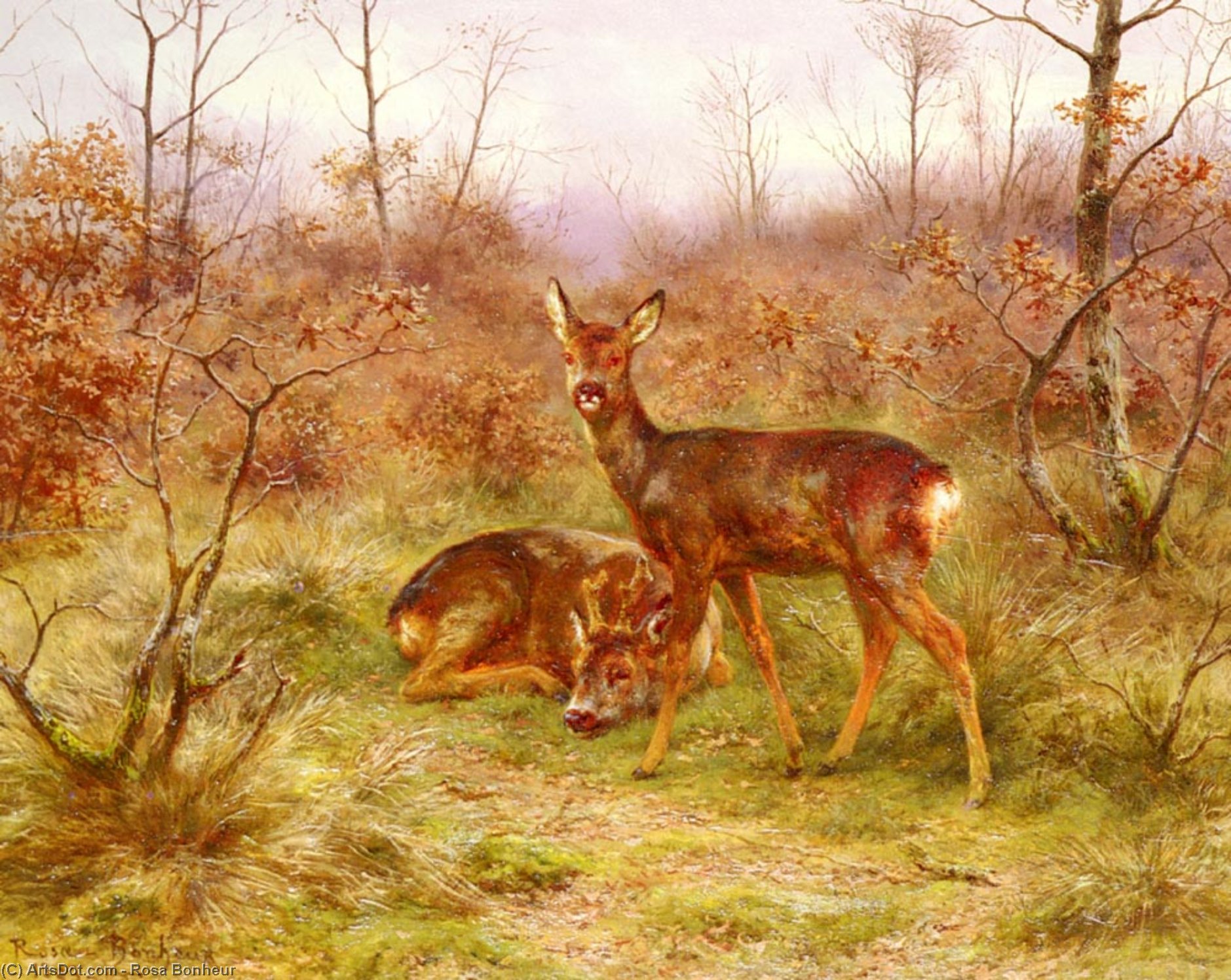 A Couple Of Deer In The Forest Of Fontainebleau — Roza Boner