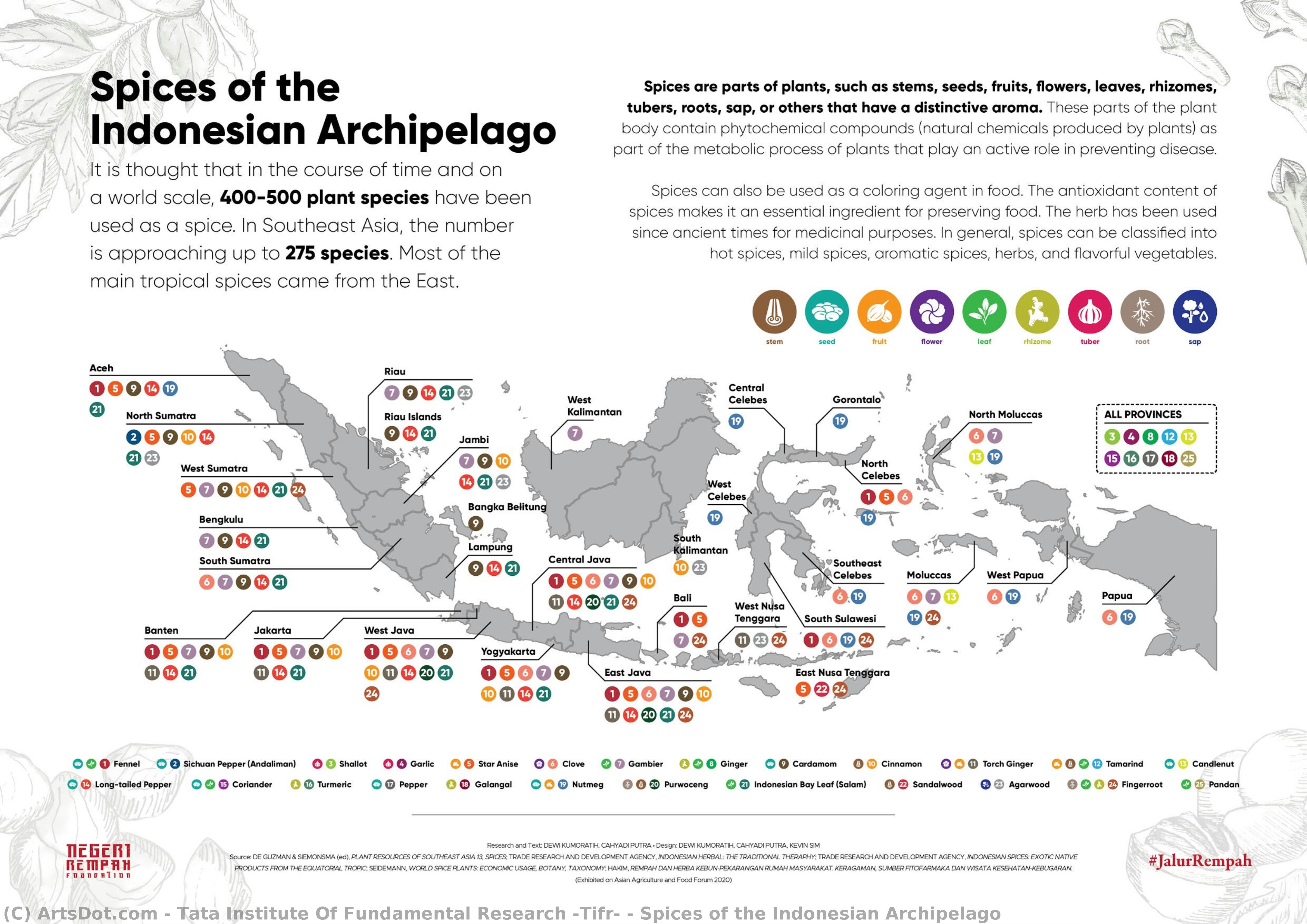 Spices Of The Indonesian Archipelago — Tata Institute Of Fundamental Research (tifr)