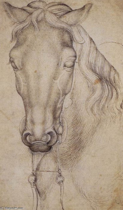 Study Of The Head Of A Horse. Pen. 276 X 197 Mm. Louvre Museum, Paris — Pisanello