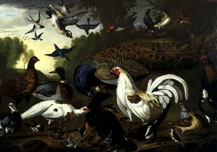 The Fable Of The Raven With A Peacock, Cockerel — Pieter Casteels