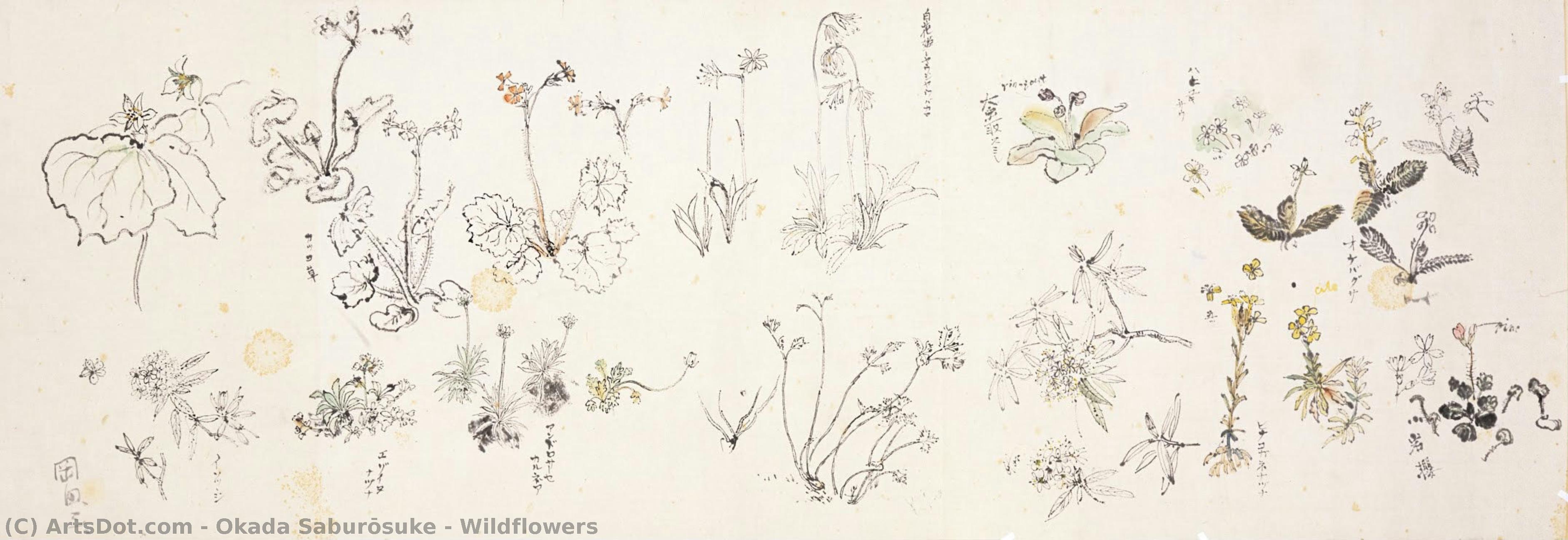 Wildflowers — Okada Saburōsuke