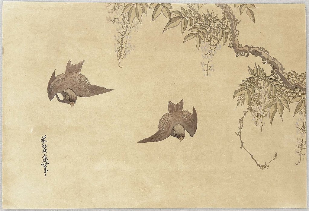 Birds And Wisteria — Katsushika Hokusai