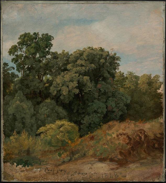 Study Of A Clump Of Trees — Jasper Francis Cropsey