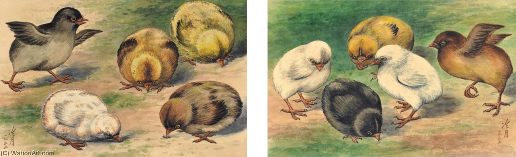 Chicks — Tao Lengyue