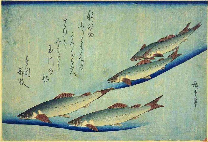 Trout — Ando Hiroshige