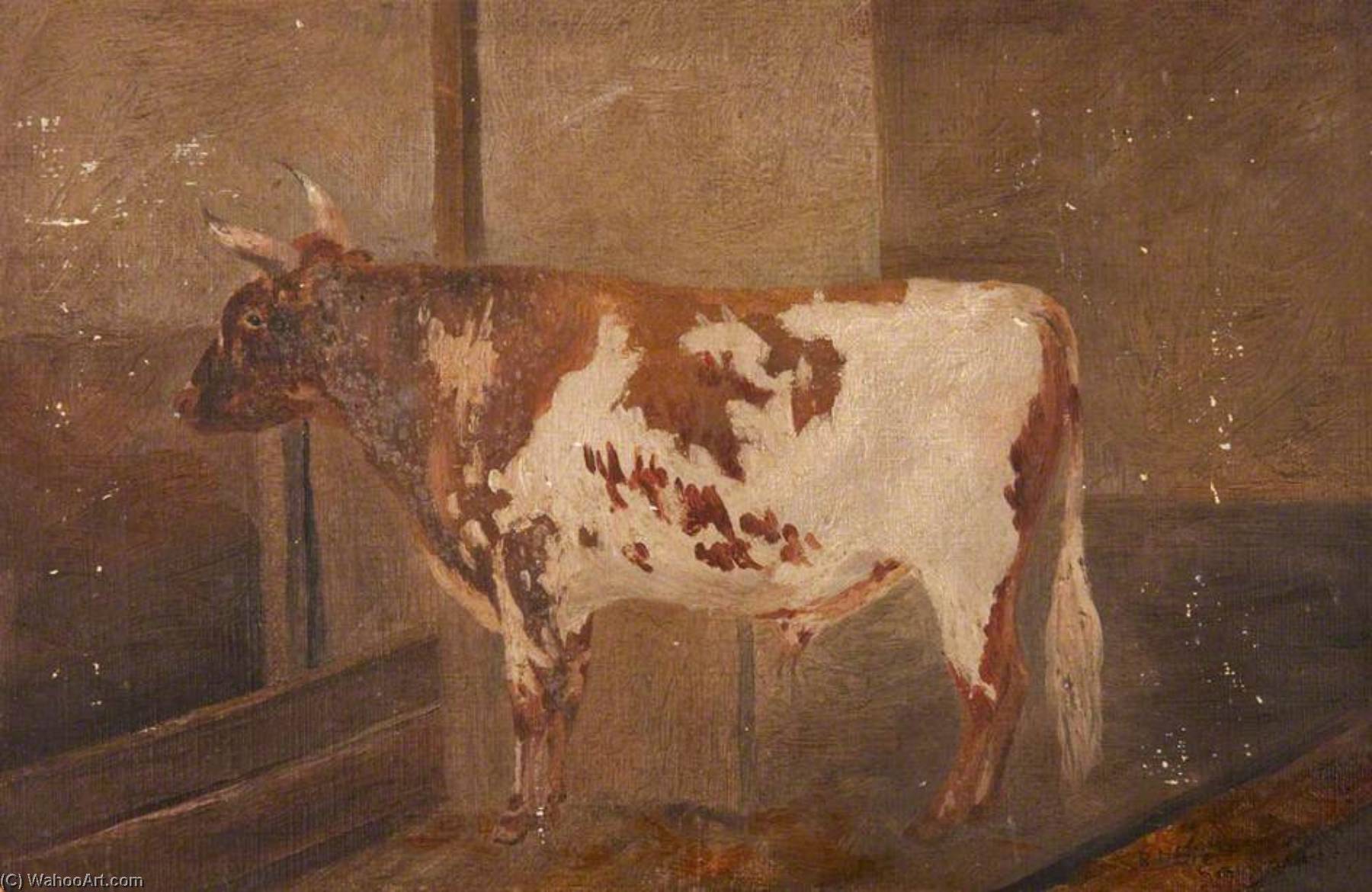 Ayrshire Bull — Robert Lillie