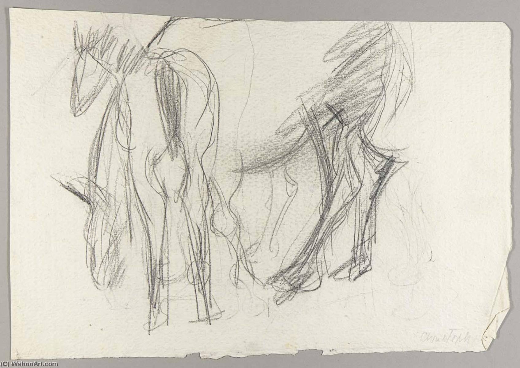 Horses — Christoph Voll