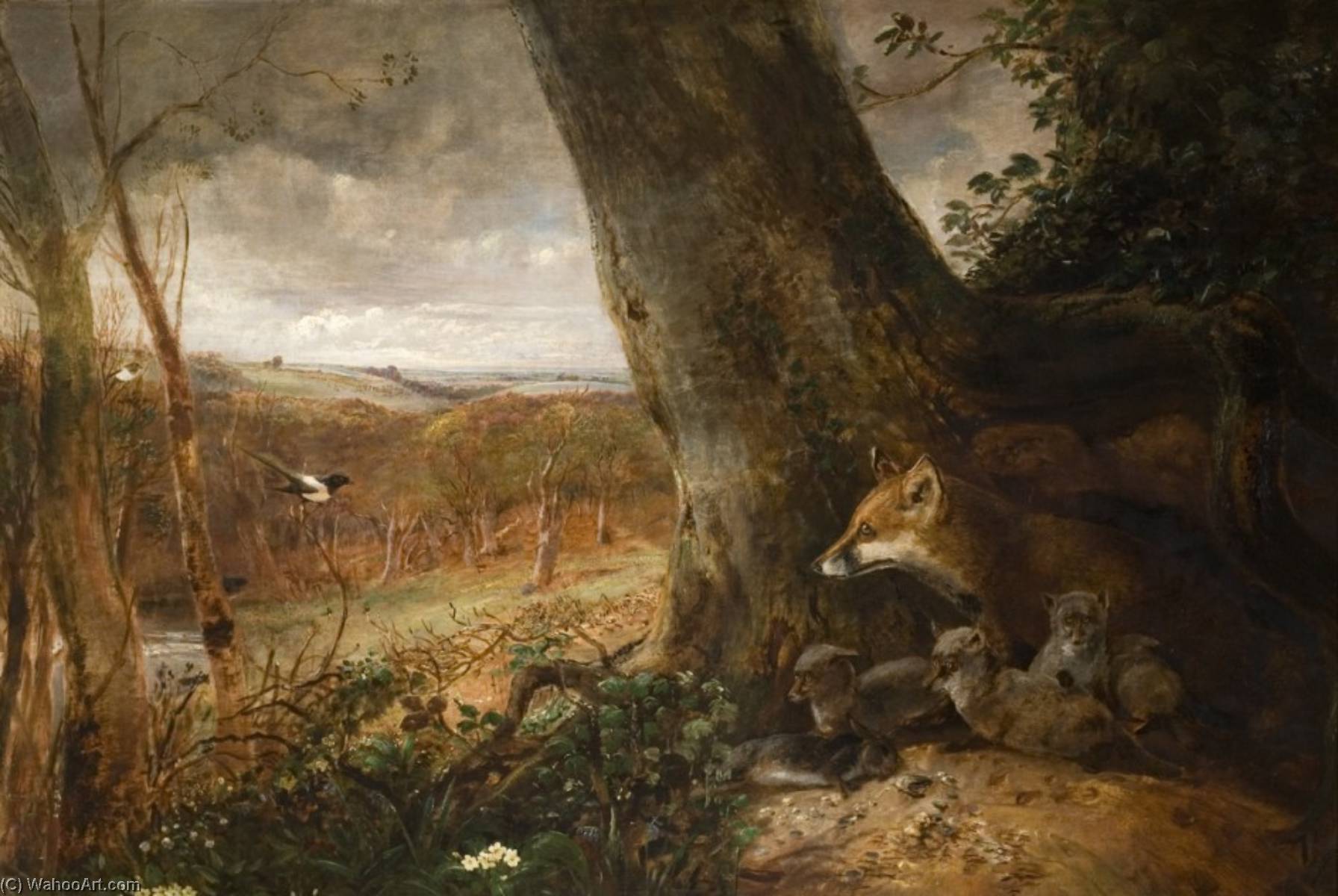 Foxes — Samuel Lucas